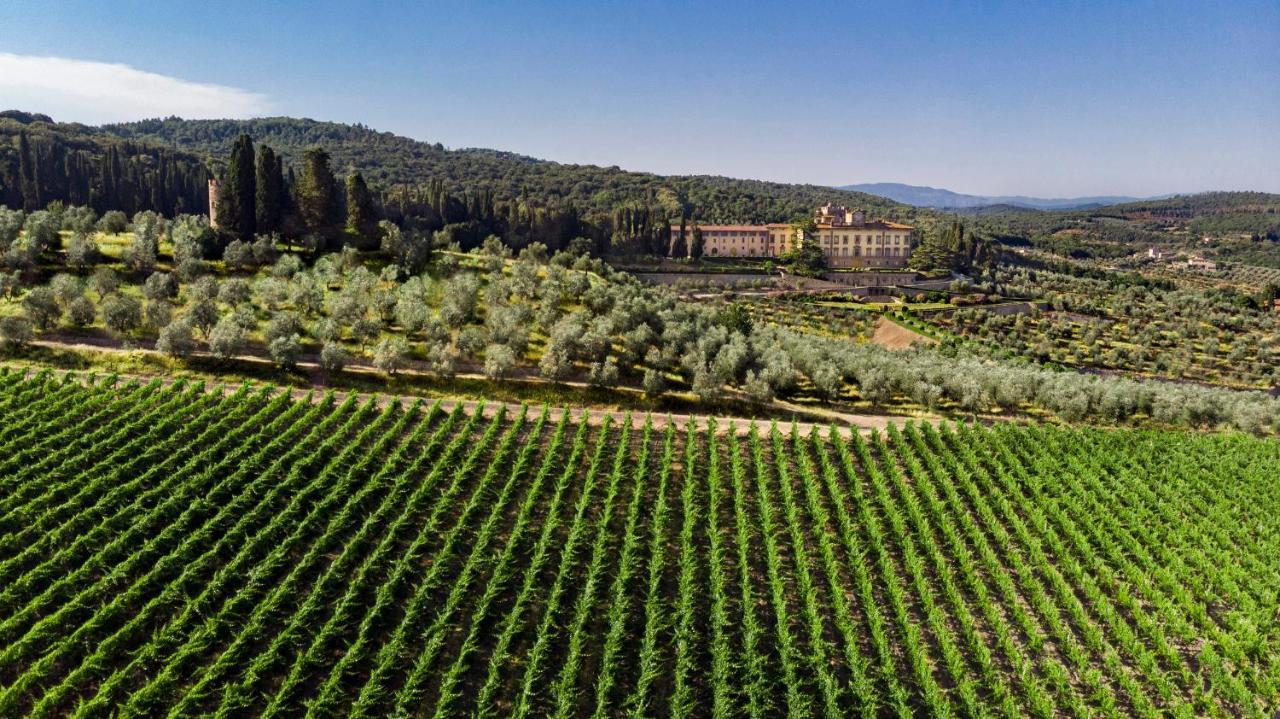 Hotel Torre A Cona Wine Estate San Donato in Collina Exteriér fotografie
