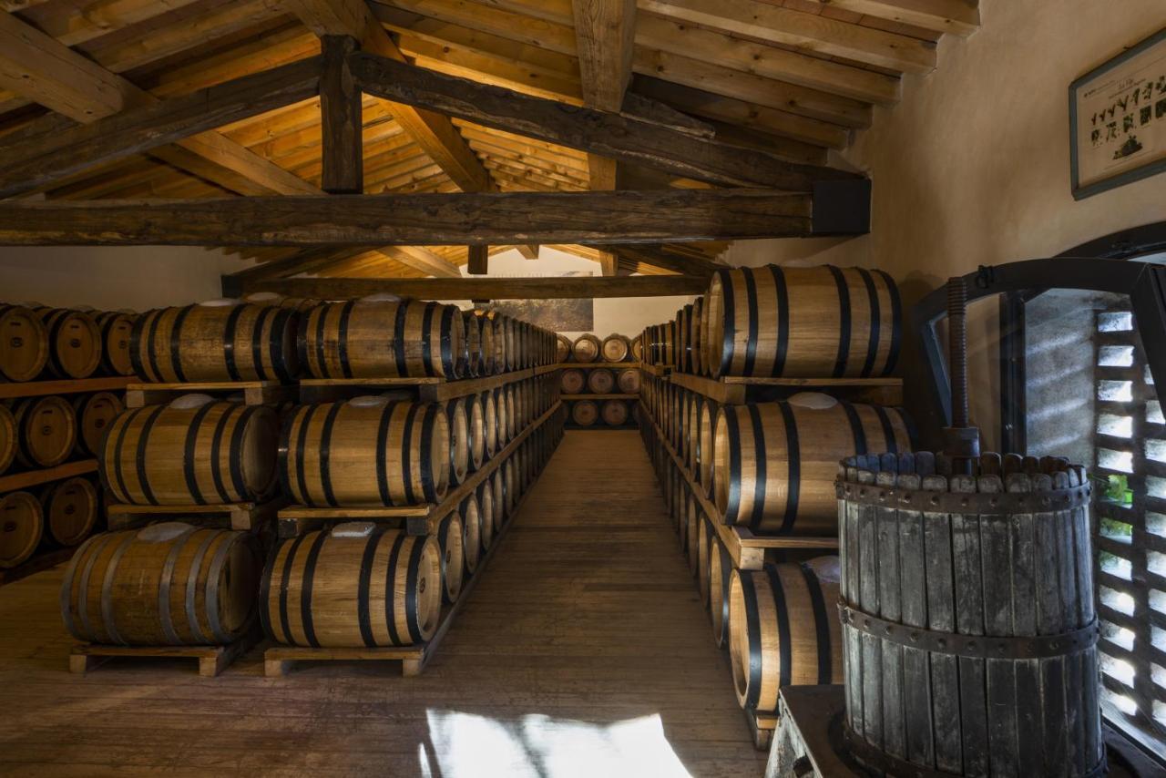 Hotel Torre A Cona Wine Estate San Donato in Collina Exteriér fotografie